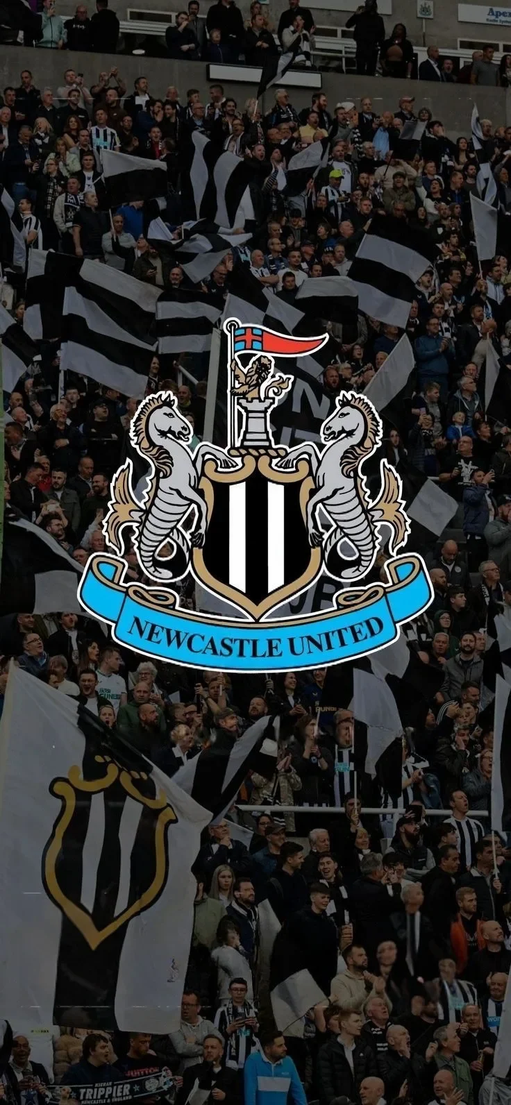 Câu lạc bộ bóng đá Newcastle United 08
