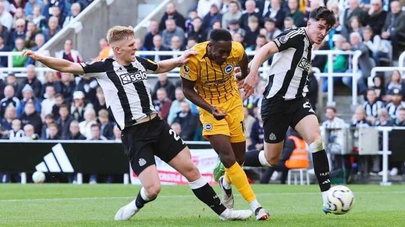 Thành tích đối đầu Newcastle vs Brighton