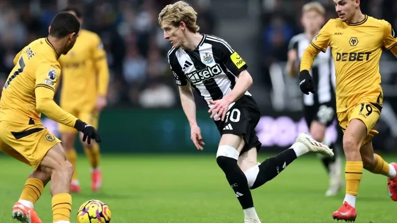 Phong độ và lịch sử đối đầu Wolves đấu với Newcastle