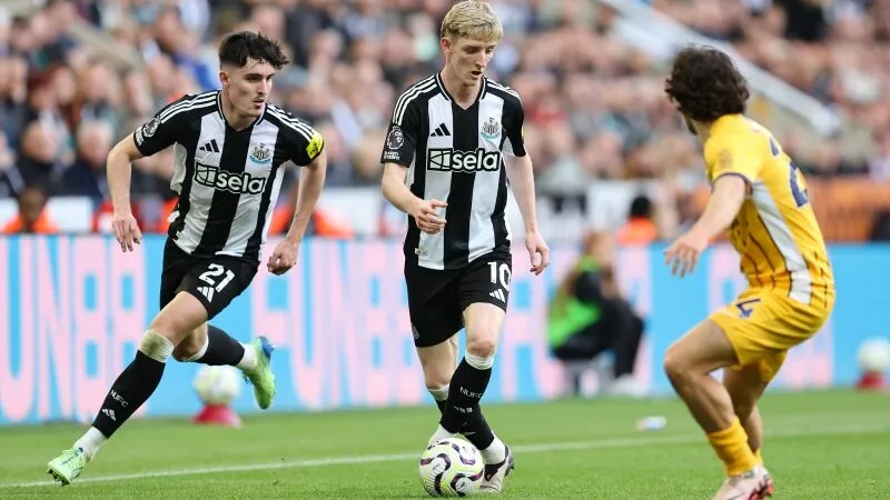 Ngôi sao đáng chú ý - Newcastle đấu với Brighton