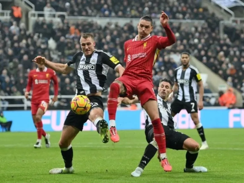 Bối cảnh trận đấu đội hình Newcastle gặp Liverpool