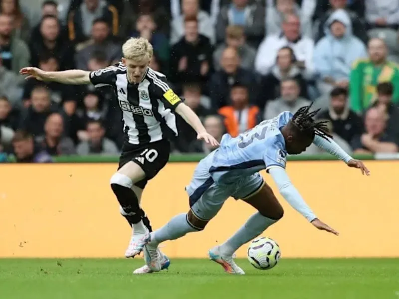 Bối cảnh trước trận đấu đội hình Newcastle gặp Tottenham