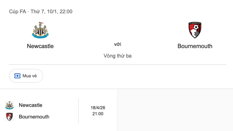 Phân Tích Đối Đầu Newcastle Với Bournemouth Mùa 2024/25