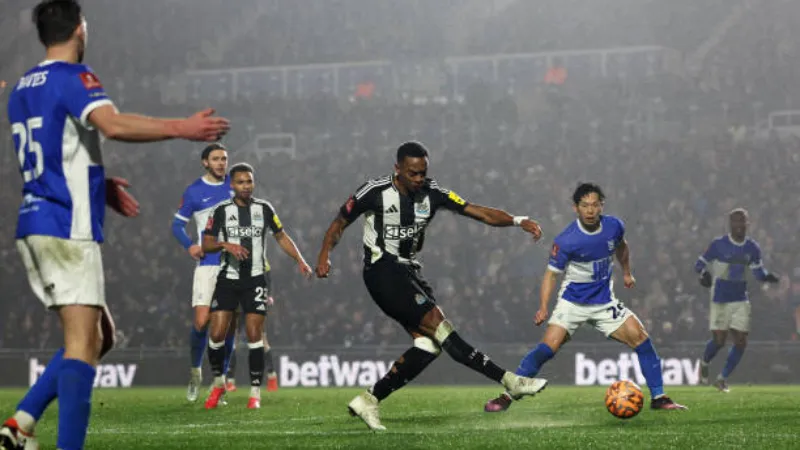 Cấu trúc đội hình Newcastle United hiện tại theo vị trí