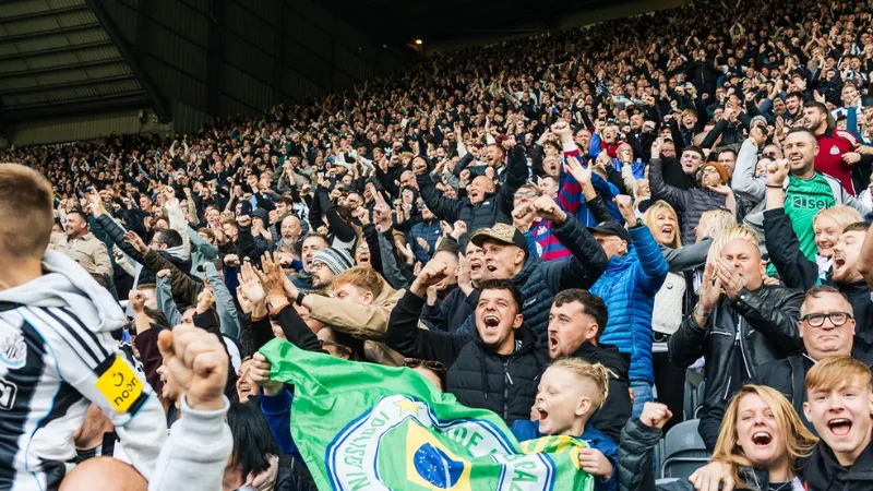 Bức tranh tổng quan và phương pháp xếp hạng